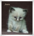 /album/amira/amira-5-hetes-002-jpg/